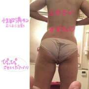 ヒメ日記 2026/09/14 12:31 投稿 すずね ふぞろいの人妻たち