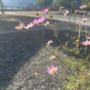 ヒメ日記 2025/11/17 17:51 投稿 夏野朝妃 ローテンブルク