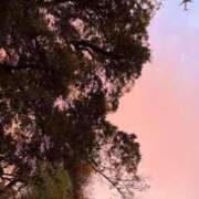 ヒメ日記 2025/11/17 23:30 投稿 夏野朝妃 ローテンブルク