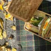 ヒメ日記 2025/11/18 07:29 投稿 夏野朝妃 ローテンブルク