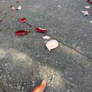 ヒメ日記 2025/11/18 12:03 投稿 夏野朝妃 ローテンブルク