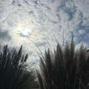 ヒメ日記 2025/12/04 21:22 投稿 夏野朝妃 ローテンブルク