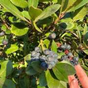 ヒメ日記 2025/12/27 07:39 投稿 夏野朝妃 ローテンブルク