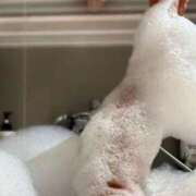 ヒメ日記 2026/01/03 21:30 投稿 夏野朝妃 ローテンブルク