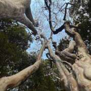 ヒメ日記 2026/01/05 17:15 投稿 夏野朝妃 ローテンブルク