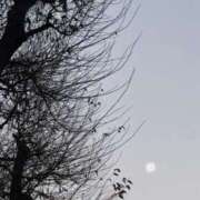 ヒメ日記 2026/01/05 18:30 投稿 夏野朝妃 ローテンブルク