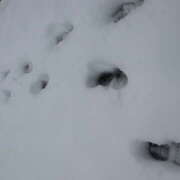 ヒメ日記 2026/01/15 16:57 投稿 体験入店 たちばな コイバ