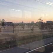 ヒメ日記 2025/12/06 21:40 投稿 しずく クラブリリー