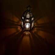 ヒメ日記 2026/03/12 13:08 投稿 しずく クラブリリー