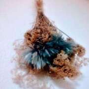 ヒメ日記 2025/11/19 12:17 投稿 まな 完熟ばなな 立川