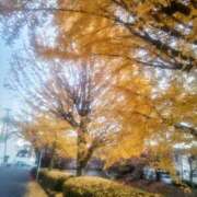 ヒメ日記 2025/12/21 22:17 投稿 まな 完熟ばなな 立川