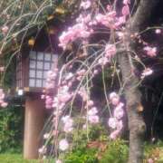 ヒメ日記 2026/02/20 18:37 投稿 まな 完熟ばなな 立川