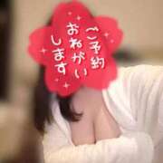 ヒメ日記 2025/12/09 10:36 投稿 ウタ【癒しの可愛さ全開】 秘書コレクション 高松店