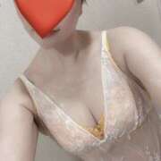 ヒメ日記 2025/12/28 19:54 投稿 若月あい マドンナの誘惑