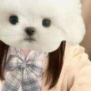 ヒメ日記 2026/02/18 01:46 投稿 あおい 吉原ファーストレディ