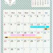 ヒメ日記 2026/03/15 11:17 投稿 あおい 吉原ファーストレディ