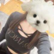 ヒメ日記 2026/04/14 10:46 投稿 あおい 吉原ファーストレディ