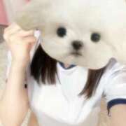 ヒメ日記 2026/04/17 18:26 投稿 あおい 吉原ファーストレディ