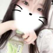 ヒメ日記 2026/04/19 05:46 投稿 あおい 吉原ファーストレディ