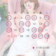 せいな☆ 2月の出勤と直近の予約状況🌟 粋美　suibi