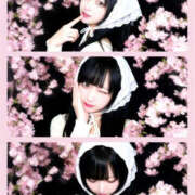 ヒメ日記 2026/04/08 09:51 投稿 せいな☆ 粋美　suibi