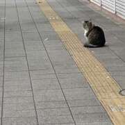 ヒメ日記 2025/11/19 02:42 投稿 ちはや Hip's千葉駅前店