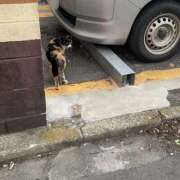 ヒメ日記 2026/02/02 08:02 投稿 ちはや Hip's千葉駅前店