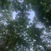 ヒメ日記 2026/03/21 13:42 投稿 ちはや Hip's千葉駅前店