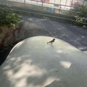 ちはや ご予約ありがとうございます☺︎ 📍次回18:00〜1枠🈳ご案内できます🫶 Hip's千葉駅前店