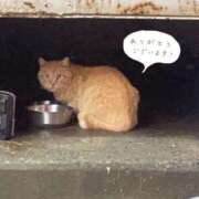 ヒメ日記 2026/05/24 11:02 投稿 ちはや Hip's千葉駅前店