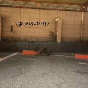 ヒメ日記 2026/06/11 12:12 投稿 ちはや Hip's千葉駅前店