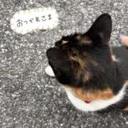 ヒメ日記 2026/08/09 02:12 投稿 ちはや Hip's千葉駅前店