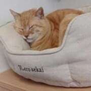 ヒメ日記 2025/12/11 22:16 投稿 じゅり 熟女の風俗最終章 新宿店