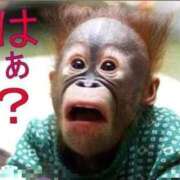 ヒメ日記 2025/12/15 18:52 投稿 じゅり 熟女の風俗最終章 新宿店