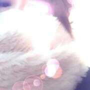 ヒメ日記 2026/02/24 11:55 投稿 じゅり 熟女の風俗最終章 新宿店