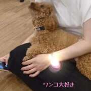 ヒメ日記 2026/01/27 19:07 投稿 じゅり 熟女の風俗最終章 池袋店