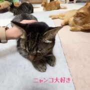 ヒメ日記 2026/01/27 19:22 投稿 じゅり 熟女の風俗最終章 池袋店