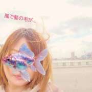 ヒメ日記 2026/03/28 14:17 投稿 じゅり 熟女の風俗最終章 池袋店