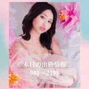 ヒメ日記 2026/04/16 08:00 投稿 ひびき シャトーペトラ