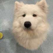 ヒメ日記 2026/01/09 16:06 投稿 てんし 女の子がセルフで撮影する店！！成田デリヘル『生パネル』伝説