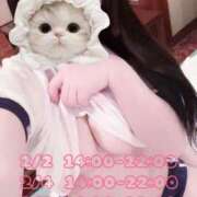 ヒメ日記 2026/01/31 13:36 投稿 ♡うたね♡ 梅田ムチぽよ女学院