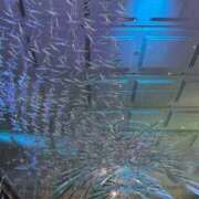 宗方　あいな 下校したよ〜‪‪❤︎‬ 寝取り×制服 義理義理な女学園