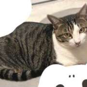 ヒメ日記 2025/12/03 21:02 投稿 低身長のくせにG爆乳『くるみ』 グッドスマイル