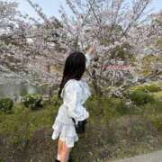 ヒメ日記 2026/03/31 04:05 投稿 低身長のくせにG爆乳『くるみ』 グッドスマイル