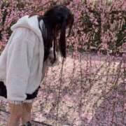 ヒメ日記 2026/04/21 04:05 投稿 低身長のくせにG爆乳『くるみ』 グッドスマイル