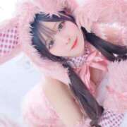 ヒメ日記 2026/02/24 12:23 投稿 にこ TOKYO BUNNYS CLUB