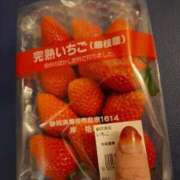 ヒメ日記 2026/02/08 09:38 投稿 みい Polaris（ポラリス）