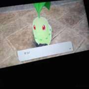 ヒメ日記 2026/04/15 09:26 投稿 みい Polaris（ポラリス）