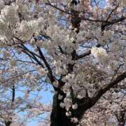 ヒメ日記 2026/04/12 14:48 投稿 れい 白いぽっちゃりさん仙台店