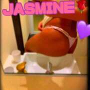 ヒメ日記 2025/11/24 12:46 投稿 じゃすみん 西船人妻花壇